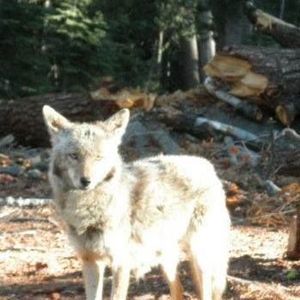 Meet your Posher, Anne